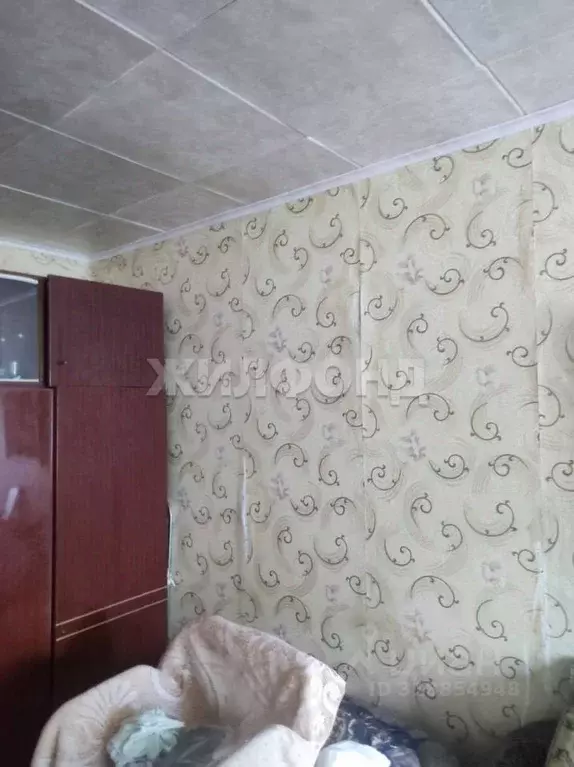 2-к кв. Новосибирская область, Новосибирск Затулинский жилмассив, ул. ... - Фото 1