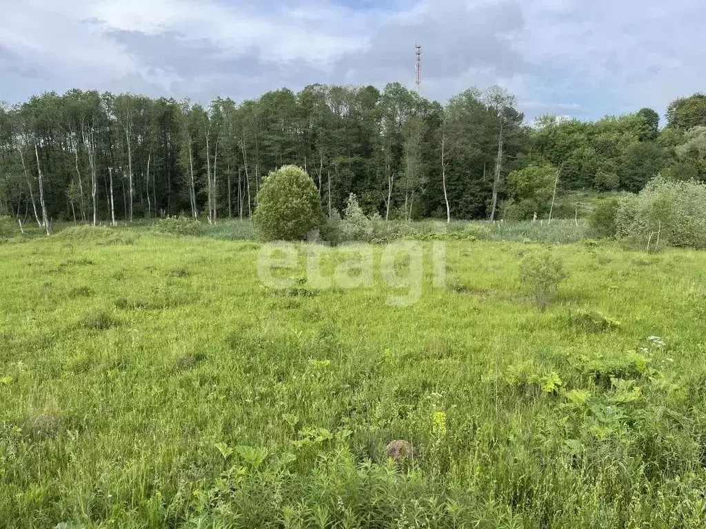 Участок в Тульская область, Тула городской округ, д. Скорнево 4А (9.0 ... - Фото 0