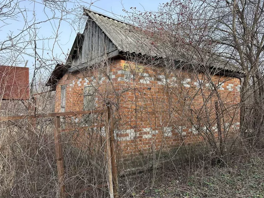 Дом в Адыгея, Майкоп Строитель СНТ, ул. Подлесная (19 м) - Фото 0