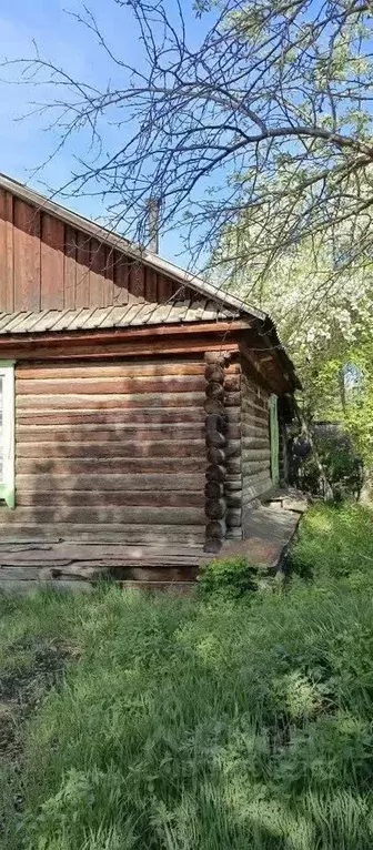 Дом в Алтай, с. Онгудай ул. Дорожная, 6 (69 м) - Фото 1