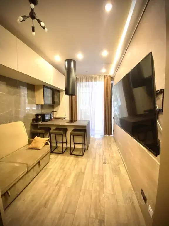 1-к кв. Краснодарский край, Сочи Светлана мкр, ул. Депутатская, 10Г ... - Фото 1