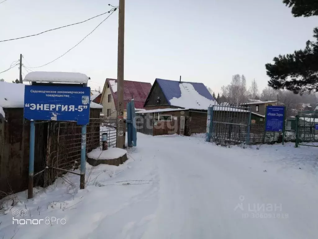 участок в новосибирская область, новосибирский район, новолуговской . - Фото 0