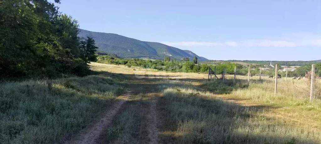 Участок в Крым, Белогорский район, с. Земляничное ул. Лесная (17.6 ... - Фото 1