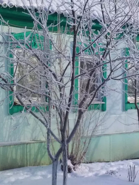 Дом в Ташлинский район, село Бородинск (92.6 м) - Фото 2