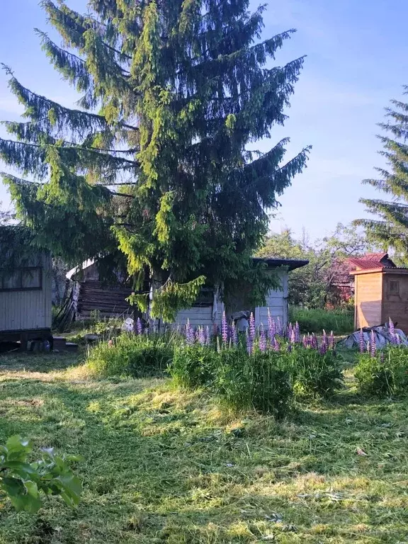 Участок в Ленинградская область, Тосненский район, Трубникоборское ... - Фото 2