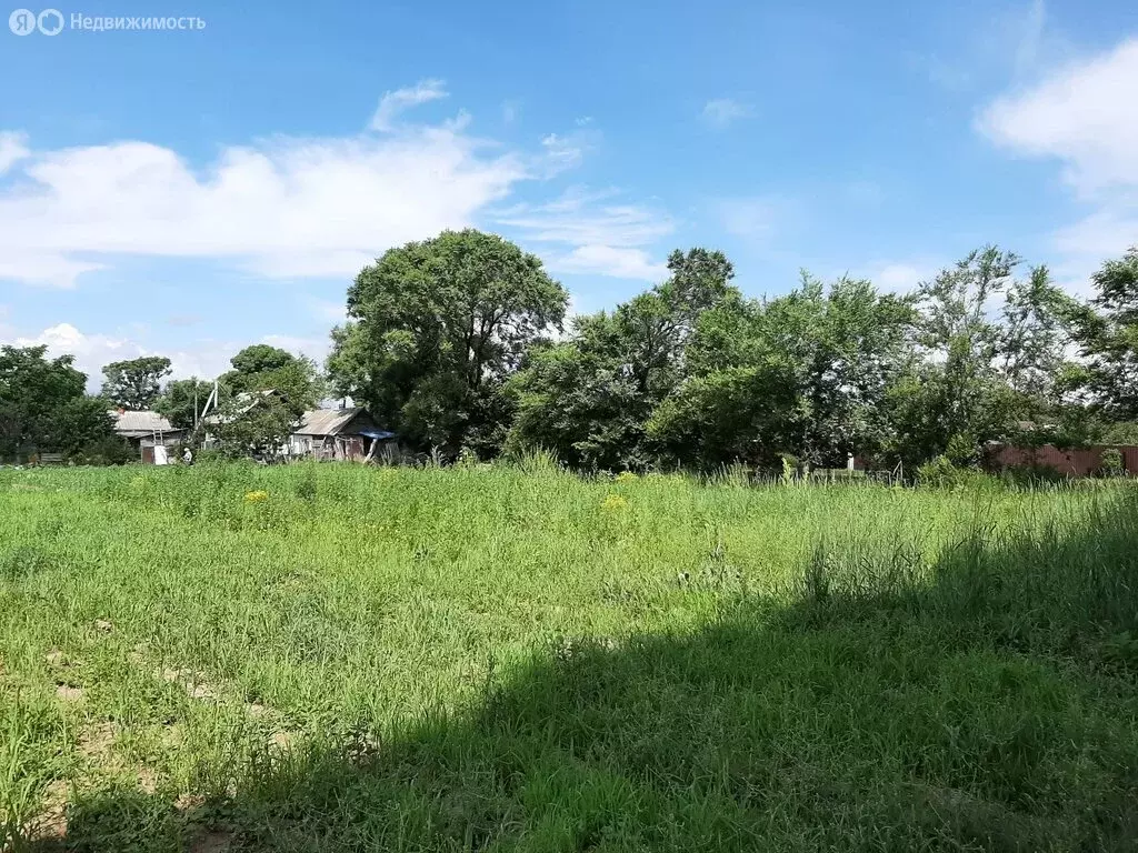 Участок в Борисовка, Колхозная улица (12 м) - Фото 1