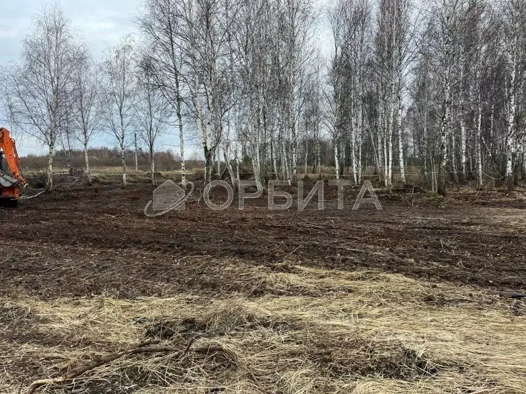 Участок в Тюменская область, Тюменский муниципальный округ, с. Борки  ... - Фото 2