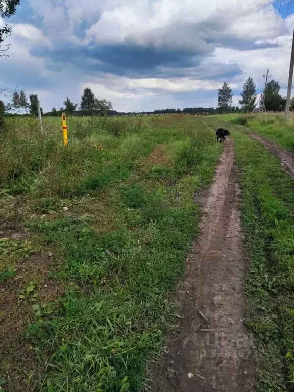 Участок в Тульская область, Веневский муниципальный округ, д. Кончинка ... - Фото 1