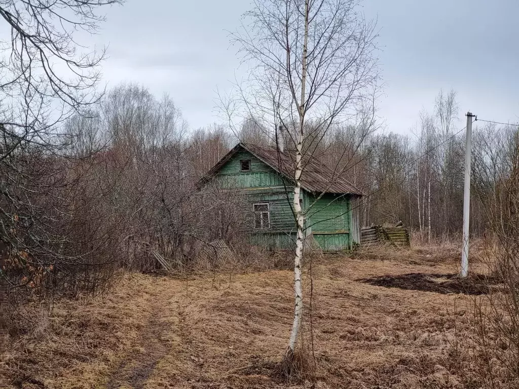 Дом в Псковская область, Псковский район, Середкинская волость, с. ... - Фото 0