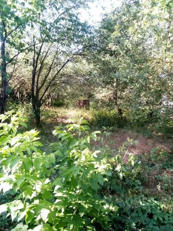 Участок в Ростовская область, Ростов-на-Дону Январская ул. (7.5 сот.) - Фото 1