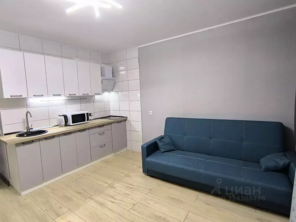 Студия Ленинградская область, Ломоносовский район, Виллозское ... - Фото 1