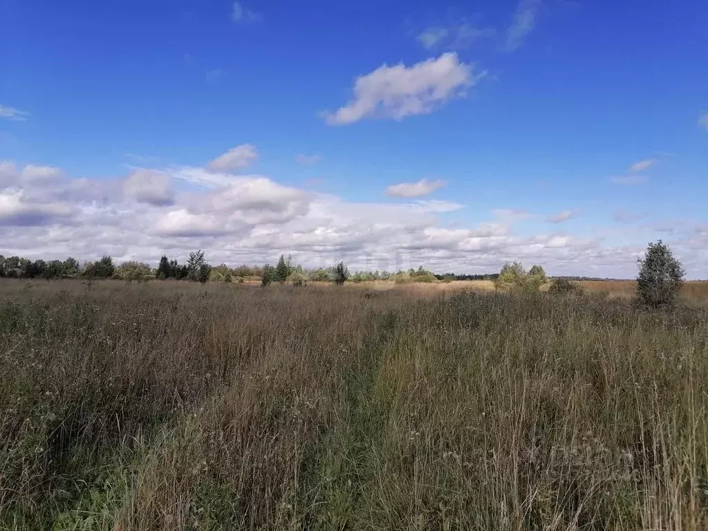 Участок в Псковская область, Островский район, Островская волость, д. ... - Фото 1