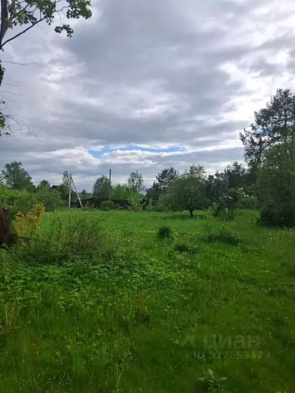Участок в Ленинградская область, Бокситогорский район, Большедворское ... - Фото 1