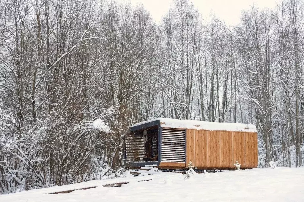 Дом в Ленинградская область, Гатчинский муниципальный округ, Дачная ... - Фото 1
