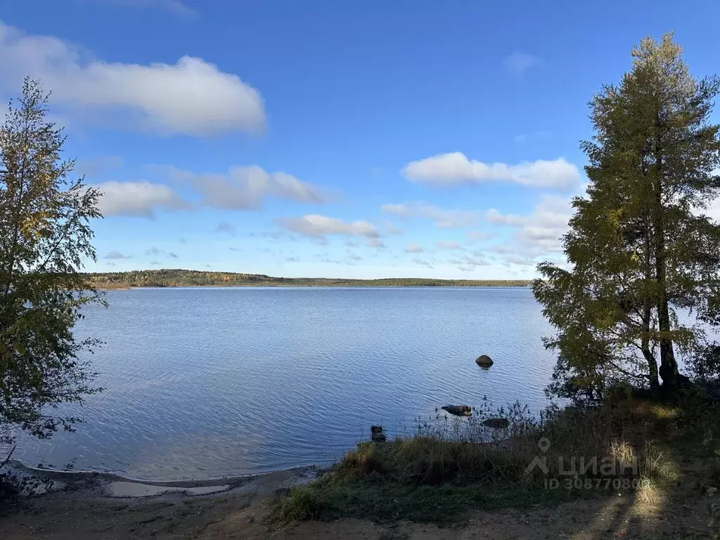 Участок в Ленинградская область, Всеволожский район, Токсовское ... - Фото 1