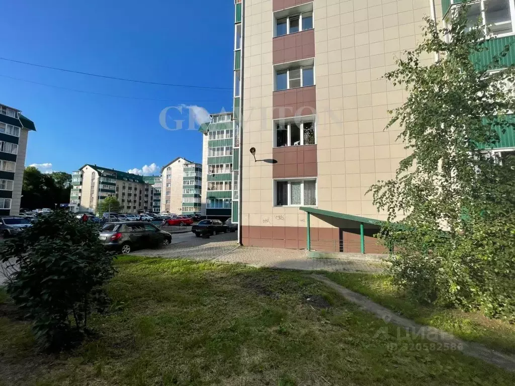 Офис в Алтай, Горно-Алтайск Промышленная ул., 3/1к1 (54 м) - Фото 2