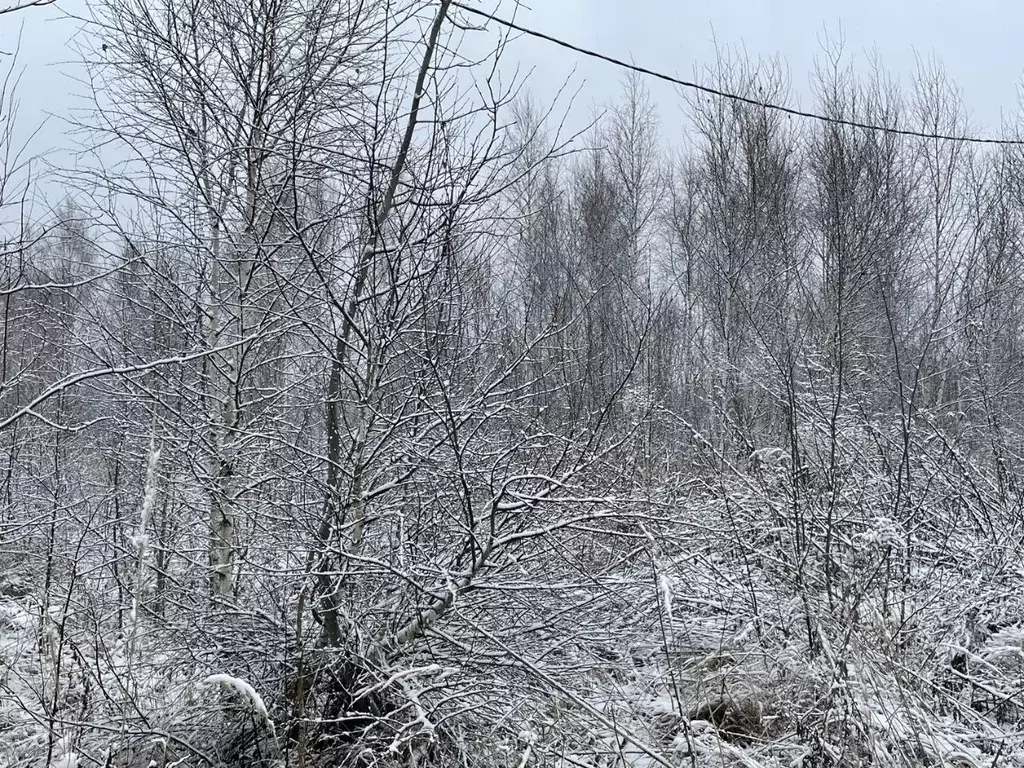 Участок в Московская область, Серпухов городской округ, д. Нефедово  ... - Фото 0