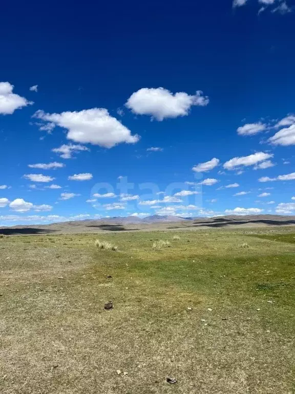 Участок в Алтай, с. Кош-Агач  (1250.0 сот.) - Фото 1