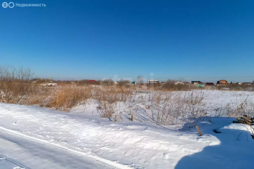 Участок в Тюмень, садовое товарищество Царево (5.15 м) - Фото 1