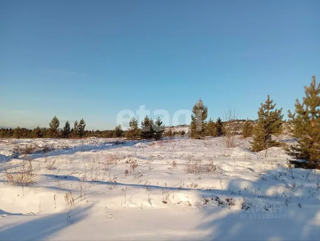 Участок в Бурятия, Тарбагатайский район, Саянтуйское с/пос, с. Нижний ... - Фото 1