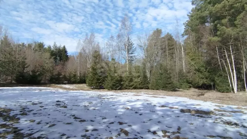 Участок в Ленинградская область, Киришский район, Пчевжинское с/пос, ... - Фото 1