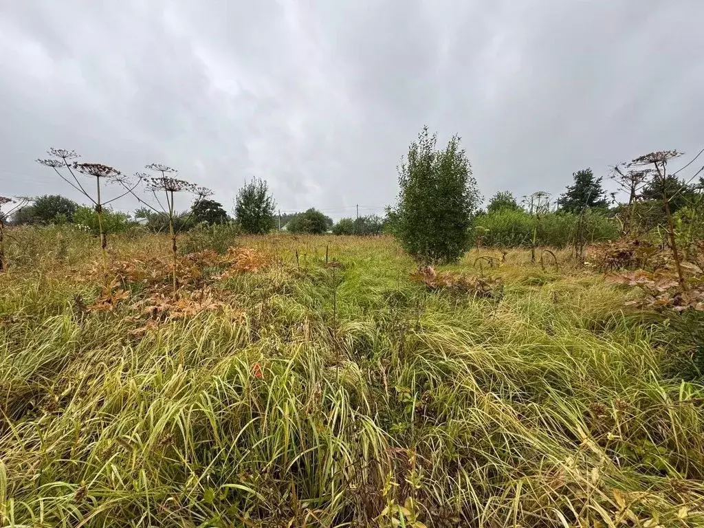 Участок в Московская область, Волоколамск Фермерская ул., с1 (8.0 ... - Фото 2