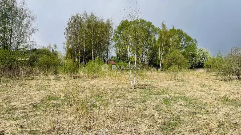 Участок в Московская область, Богородский городской округ, д. Ельня ... - Фото 1