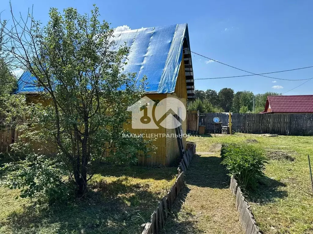Участок в Новосибирская область, Новосибирск Любитель СНТ,  (6.0 сот.) - Фото 1