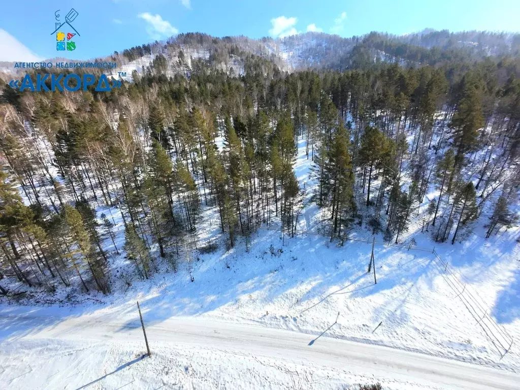 Участок в Алтай, Чемальский район, Узнезинское с/пос  (19.58 сот.) - Фото 1
