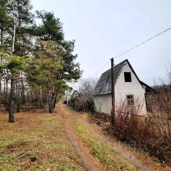 Дом в Белгородская область, Яковлевский городской округ, с. Шопино ... - Фото 0