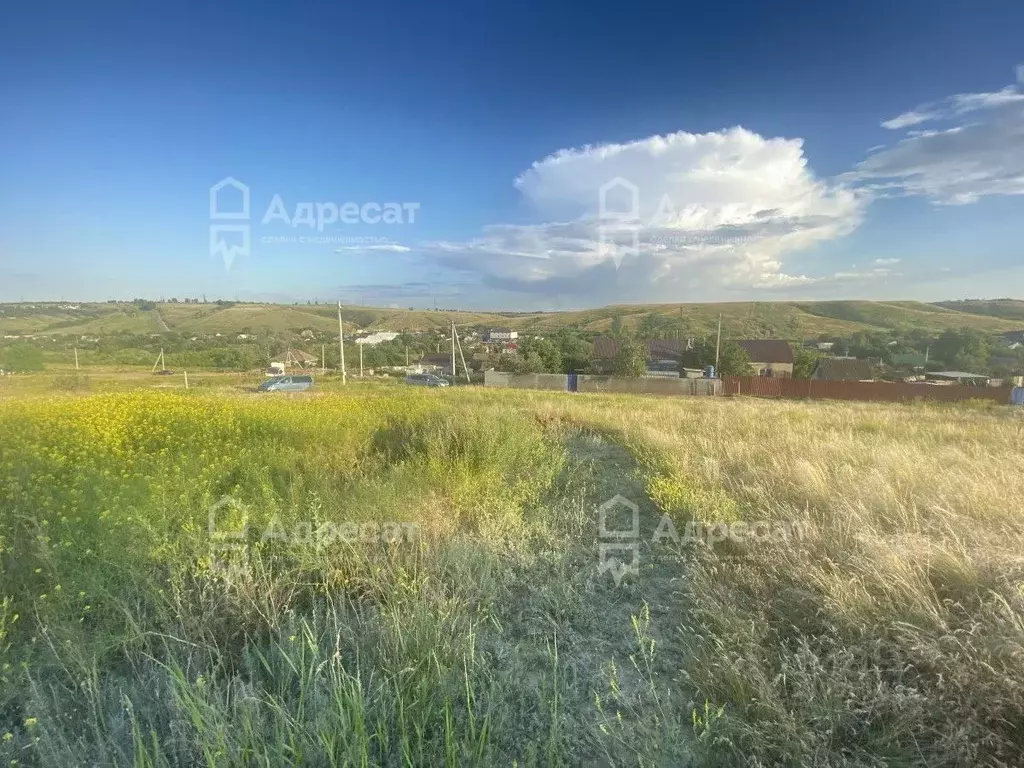 Участок в Волгоградская область, Городищенский район, ... - Фото 2