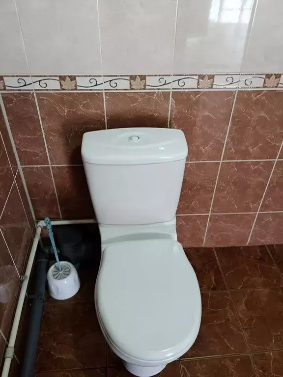 Офис в Краснодарский край, Северская ст-ца ул. 50 лет Октября, 52А (59 ... - Фото 2