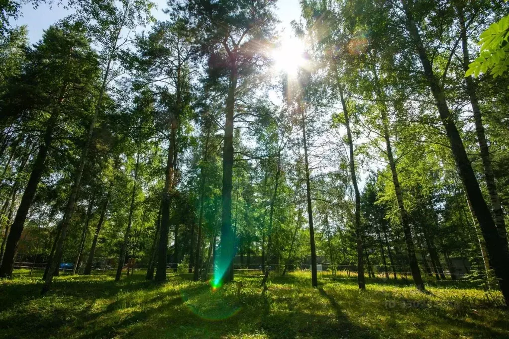 Участок в Московская область, Красногорск городской округ, д. ... - Фото 1