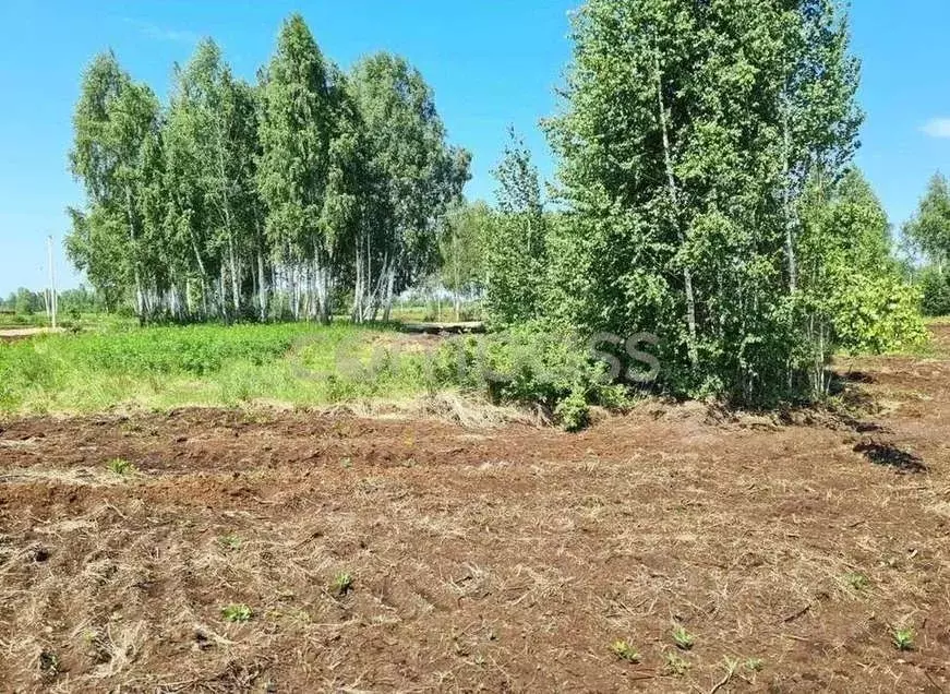 Участок в Тюменская область, Нижнетавдинский район, Строитель ТСН 786 ... - Фото 1