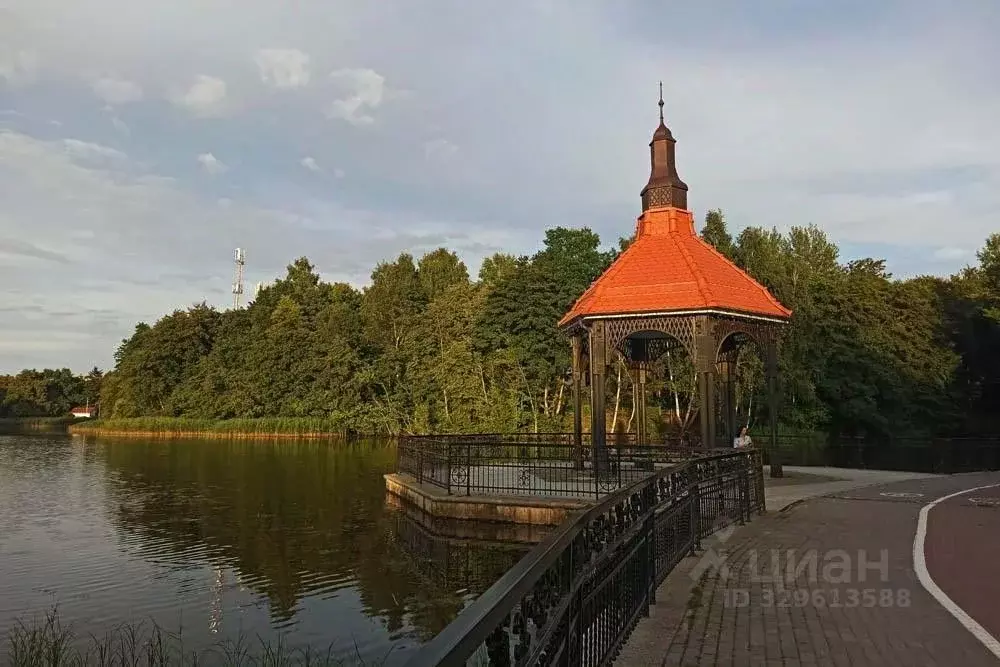 Студия Калининградская область, Светлогорск Тихая ул. (23.0 м) - Фото 2