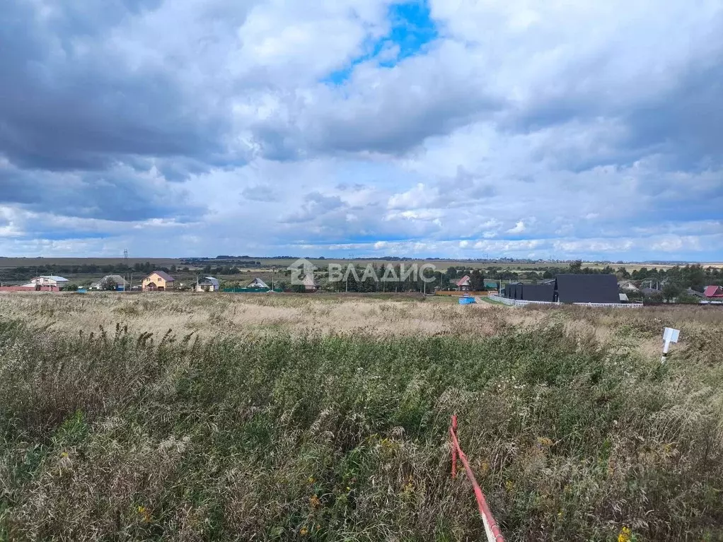 Участок в Владимирская область, Суздальский район, Селецкое ... - Фото 2