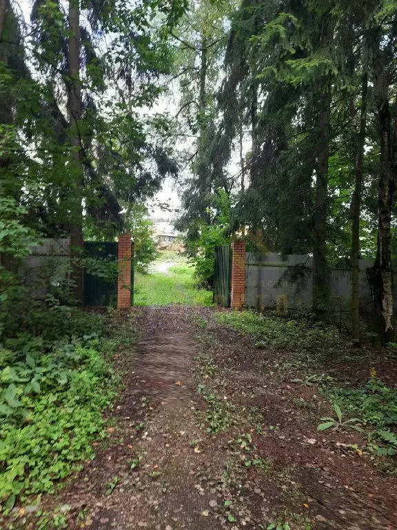 Продается участок в г. Лобня - Фото 0