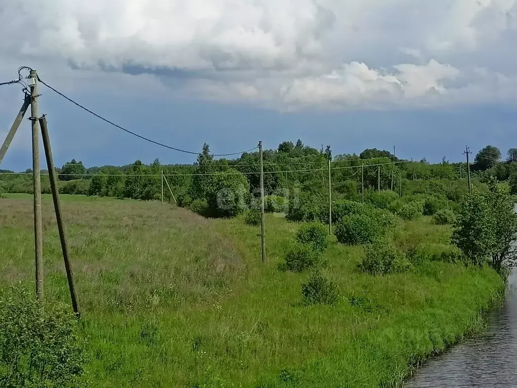 Участок в Ленинградская область, Волховский район, Бережковское с/пос, ... - Фото 2
