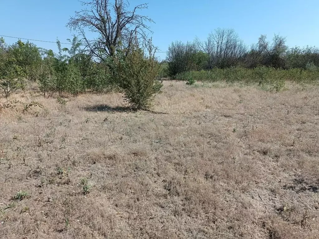 Участок в Крым, Сакский район, Митяевское с/пос, Учитель СНТ  (10.0 ... - Фото 2