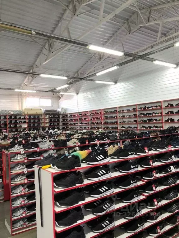 Помещение свободного назначения в Омская область, Москаленки рп ул. ... - Фото 1