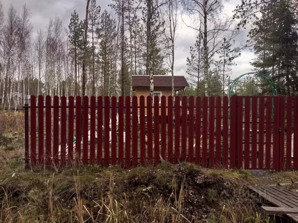 Дом в Ленинградская область, Всеволожское городское поселение, СОСН ... - Фото 2