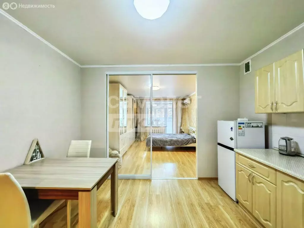 Квартира-студия: Пермь, Подлесная улица, 3А (33.5 м) - Фото 1