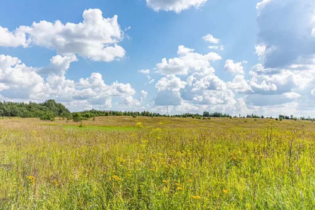 Продается участок в КП Ренессанс Парк - Фото 0