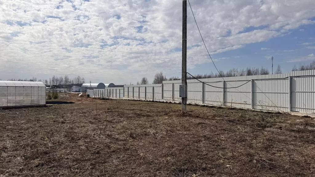 Участок в Московская область, Раменский муниципальный округ, посёлок ... - Фото 1