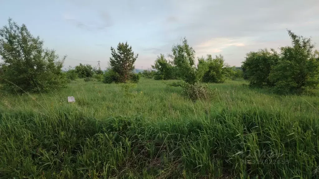 Участок в Алтай, Майминский район, с. Подгорное Центральная ул. (10.0 ... - Фото 0