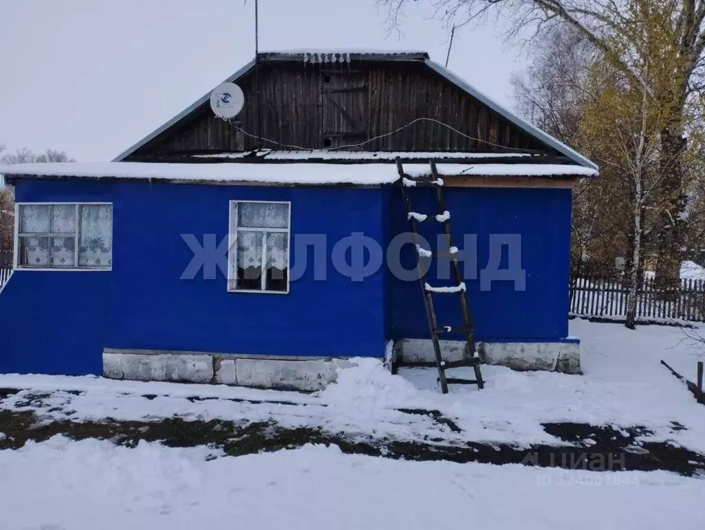 2-к кв. Новосибирская область, Коченевский район, с. Целинное ... - Фото 1