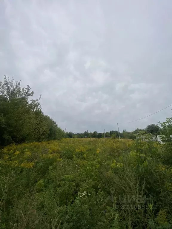 Участок в Рязанская область, Рязань Ветеран-94 СТ, 428 (11.5 сот.) - Фото 1