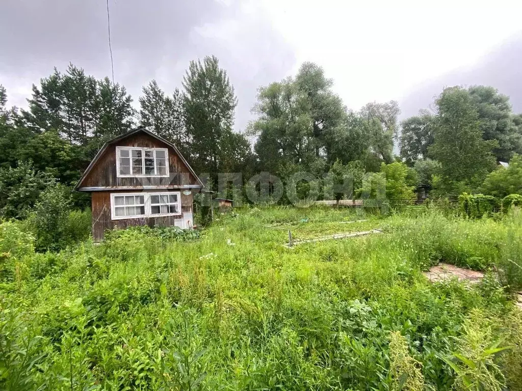 Дом в Новосибирская область, Новосибирск Темп СНТ,  (26 м) - Фото 0