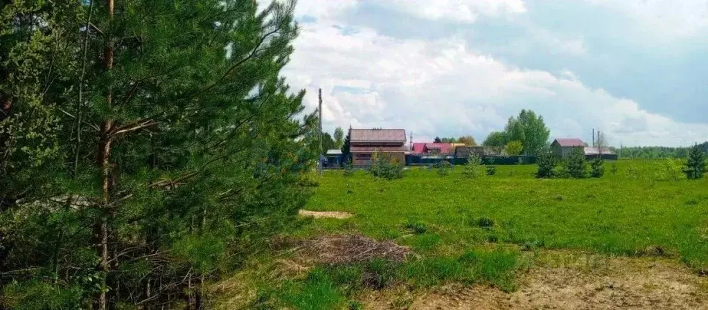 Участок в Нижегородская область, Чкаловск муниципальный округ, д. ... - Фото 2