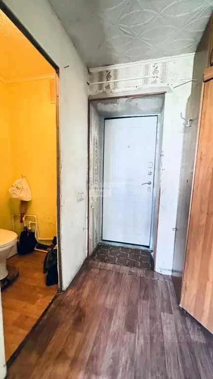 1-к кв. Иркутская область, Иркутск Сибирская ул., 27 (18.8 м) - Фото 1